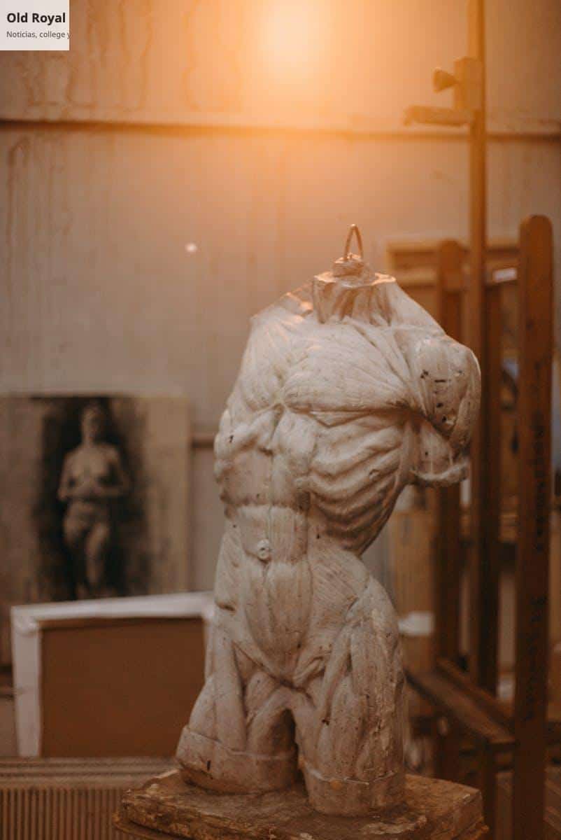 Cuerpo humano