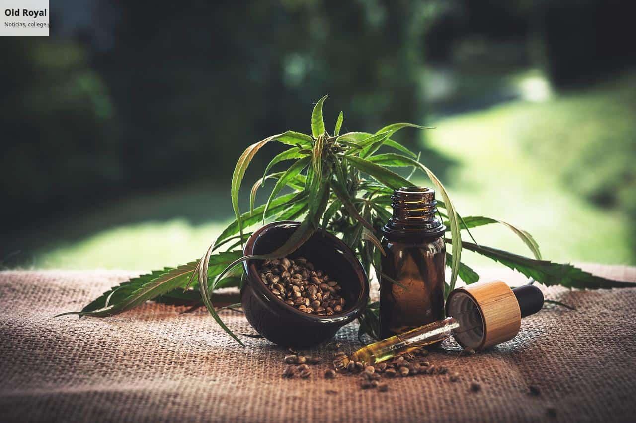 ¿Es legal el CBD en Italia?